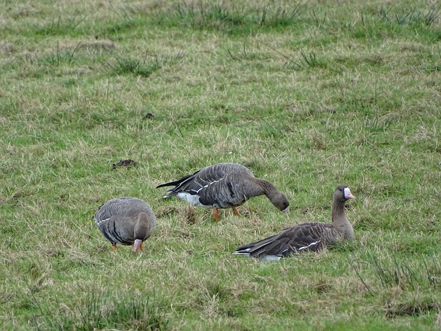 稳定与战斗 稳定与战斗