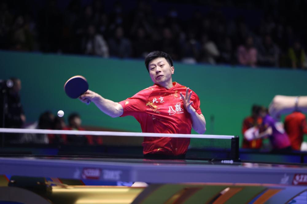 了新一轮的 了新一轮的