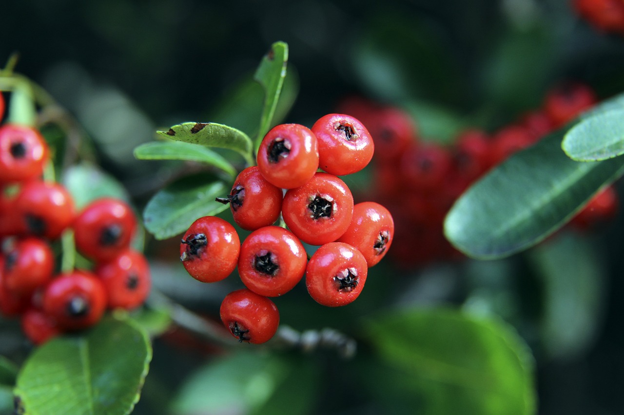 格林揭湖人 格林揭湖人